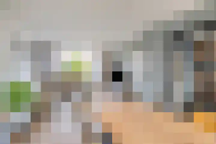 Hogewerf 5 Wouw thumbnail 18