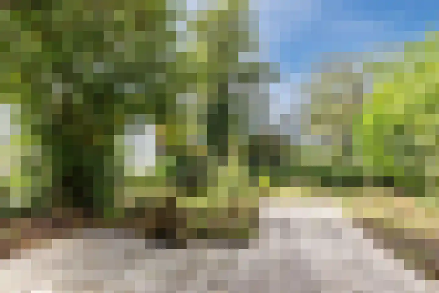 Hogewerf 56 Amsterdam thumbnail 13