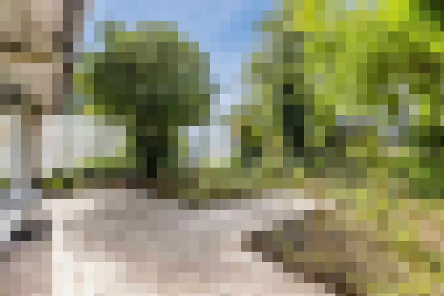 Hogewerf 56 Amsterdam thumbnail 14