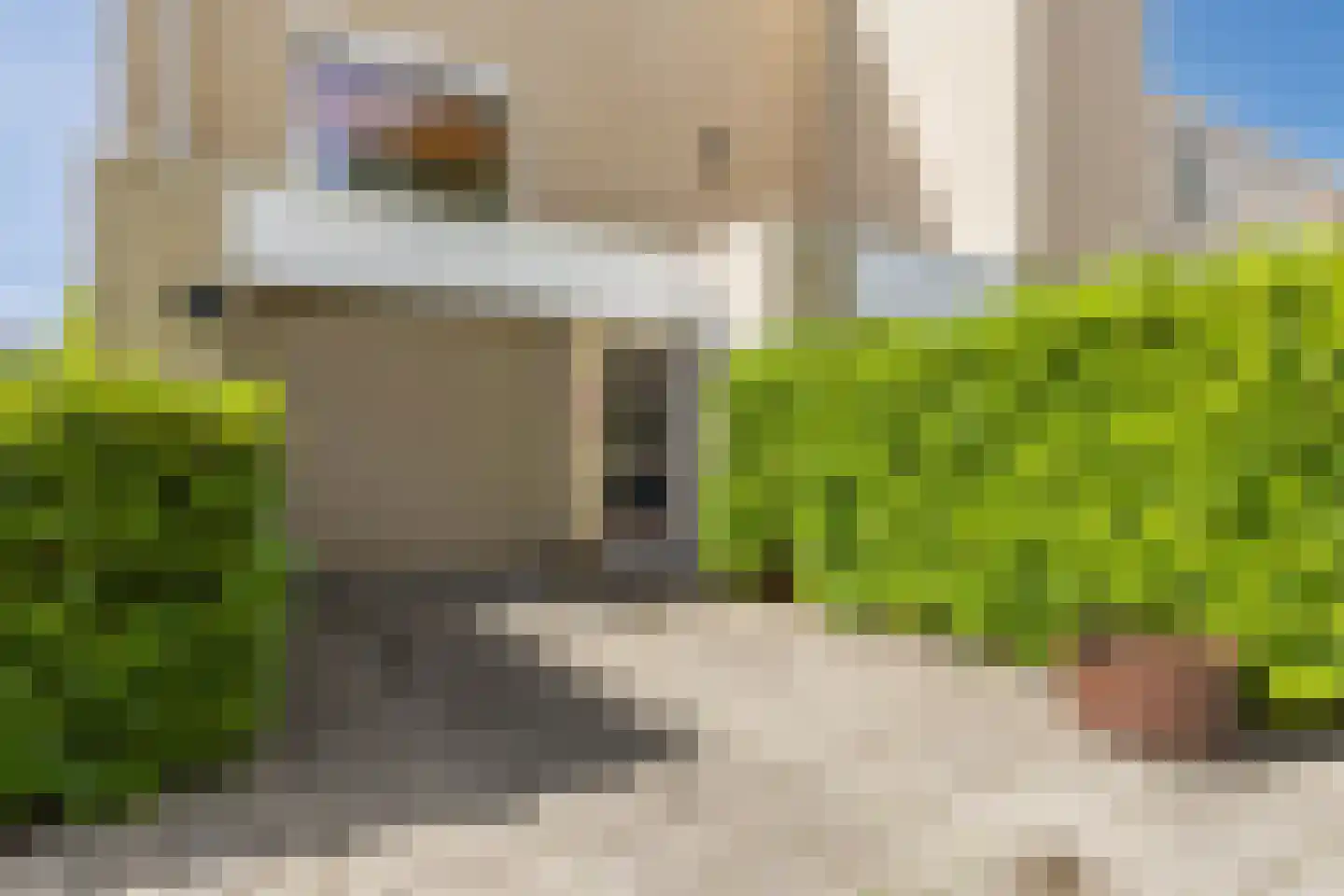 Hogewerf 56 Amsterdam thumbnail 6