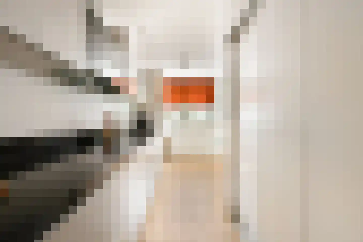 Hogewerf 60 Amsterdam thumbnail 12