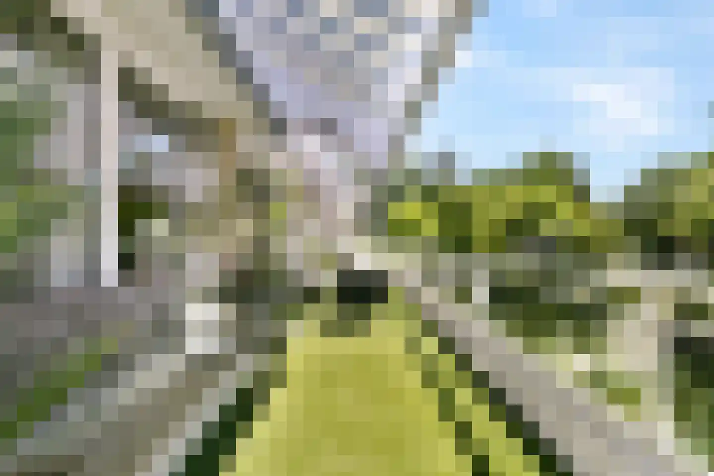 Hogewerf 60 Amsterdam thumbnail 14