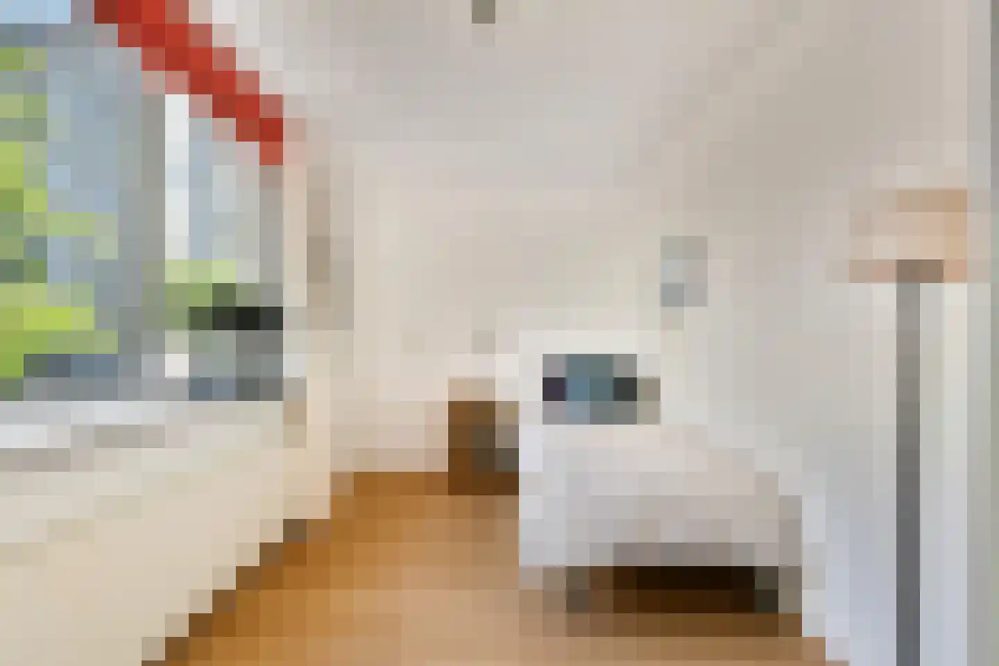 Hogewerf 60 Amsterdam thumbnail 27