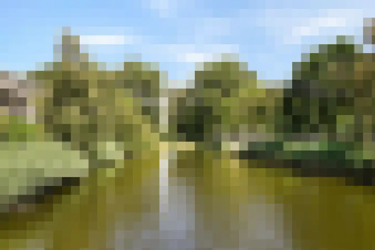 Hogewerf 60 Amsterdam thumbnail 29