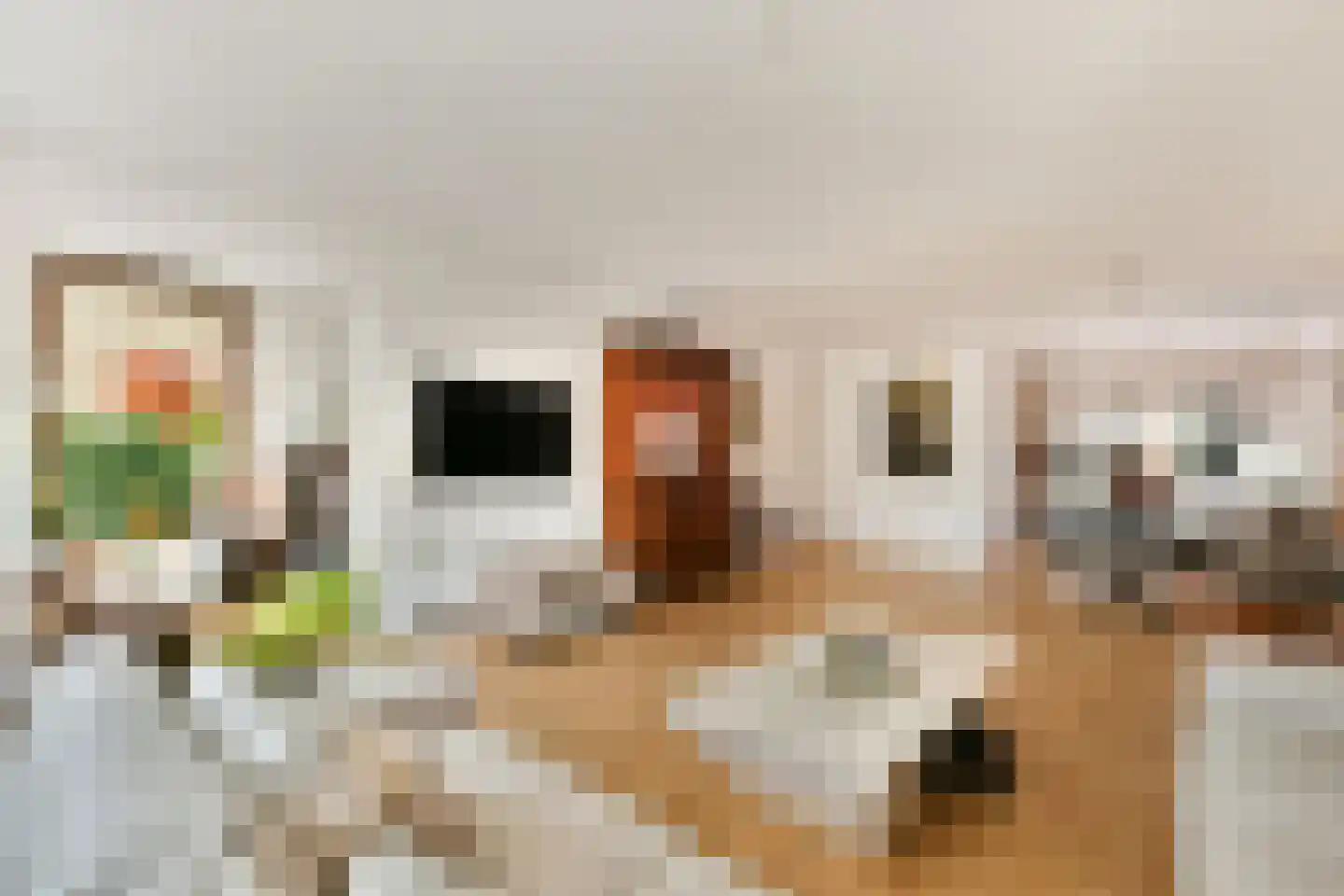 Hogewerf 60 Amsterdam thumbnail 8