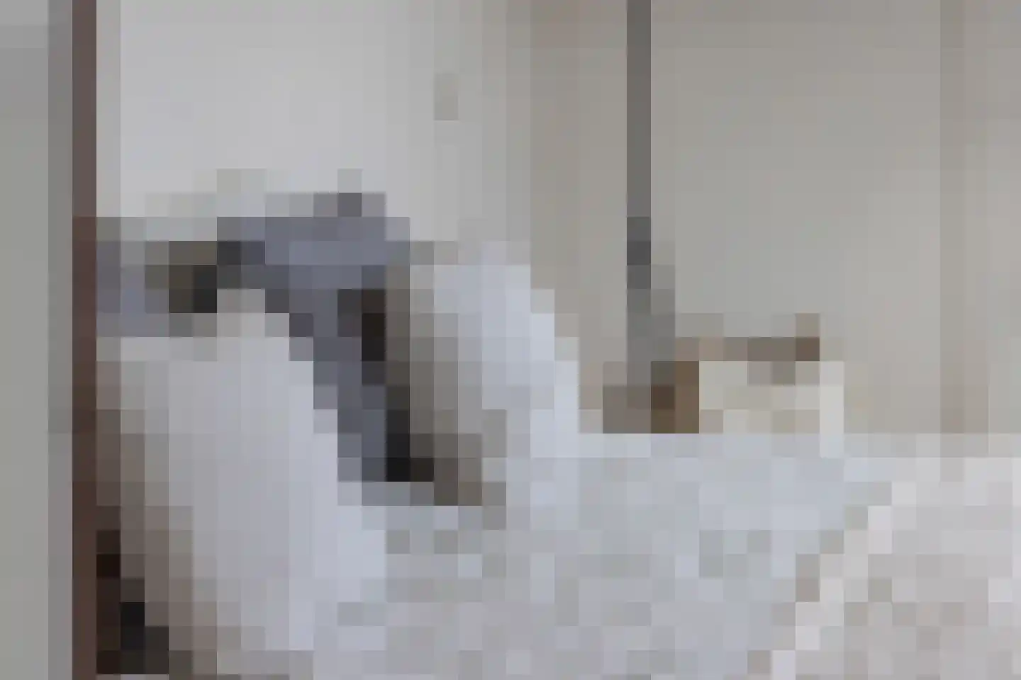 Hogewerf 77 Vlaardingen thumbnail 34