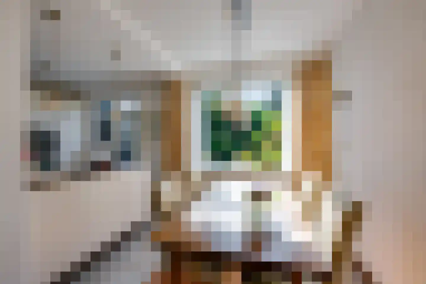 Hogewey 24 Udenhout thumbnail 14