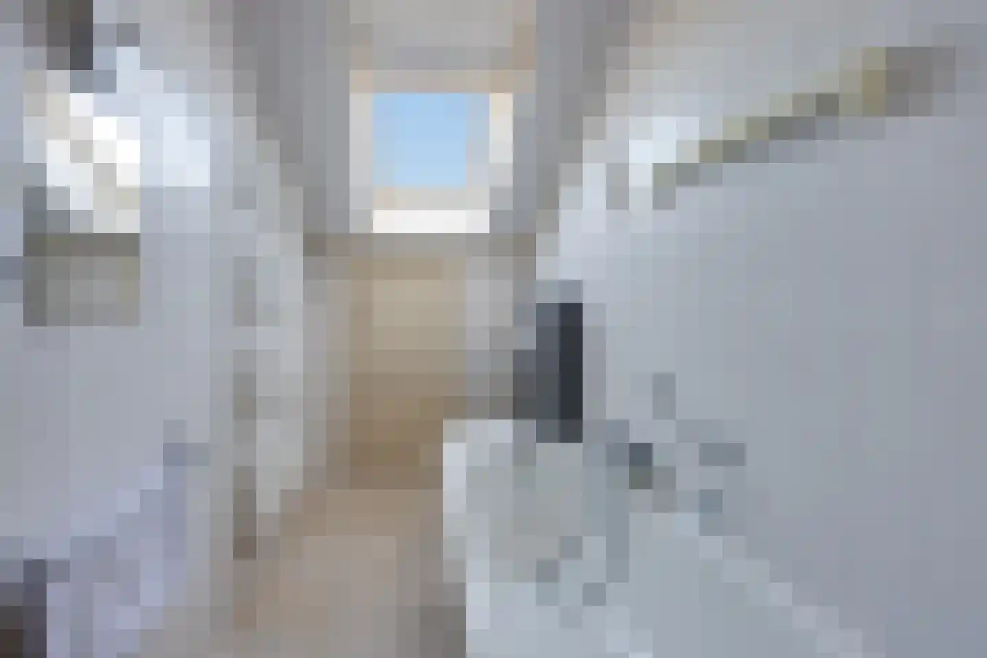 Hogewey 24 Udenhout thumbnail 29