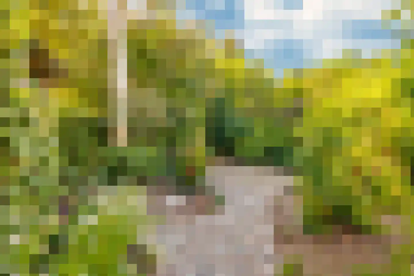 Hogewey 24 Udenhout thumbnail 40