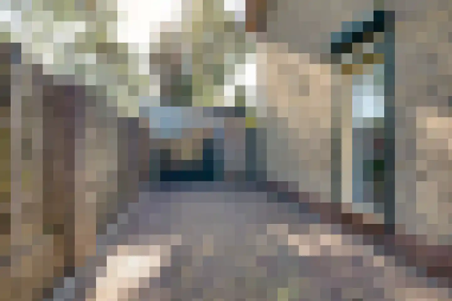 Hogewey 24 Udenhout thumbnail 43