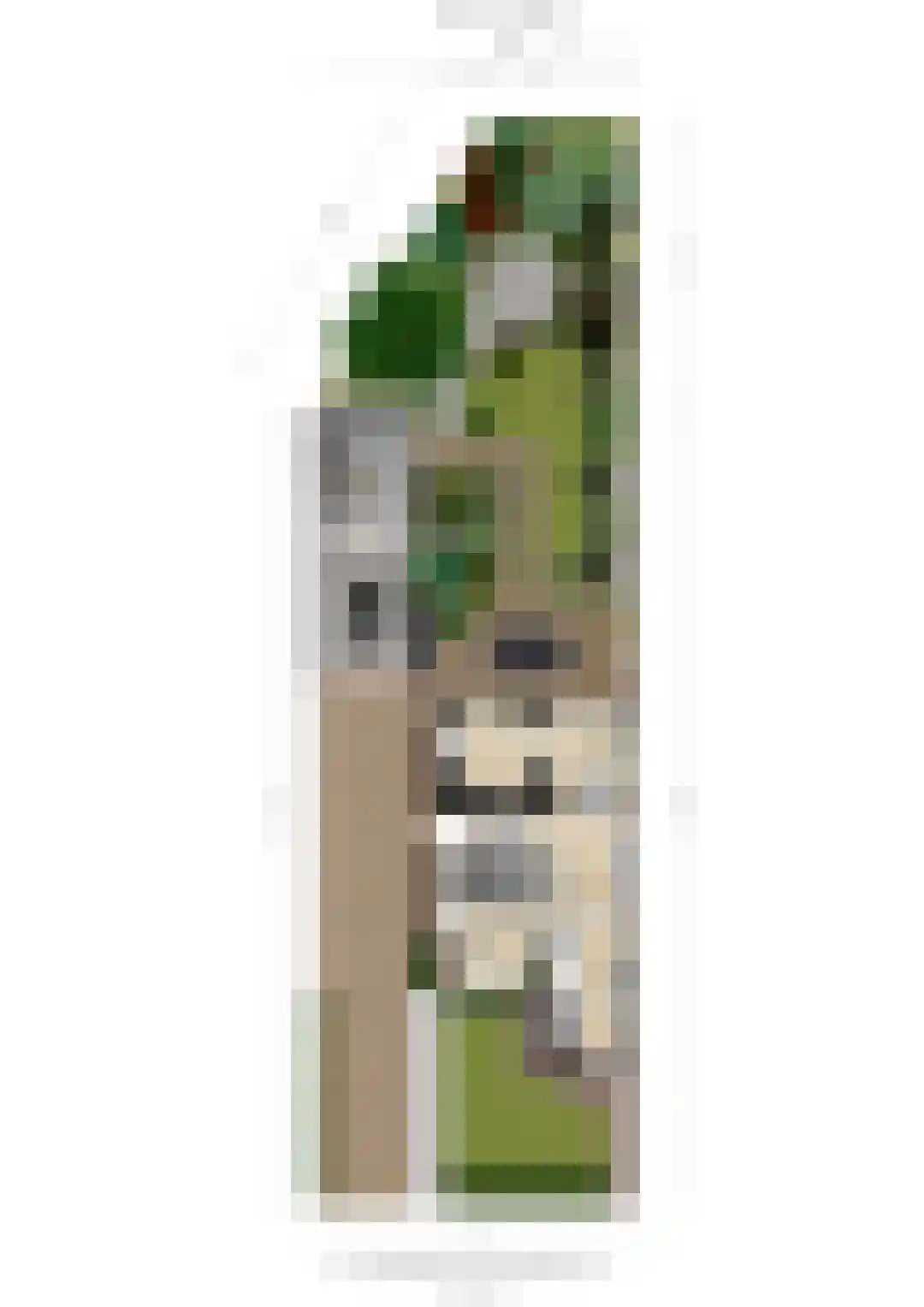 Hogewey 24 Udenhout thumbnail 64