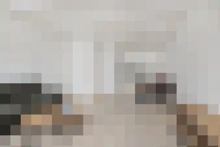 Hogewoerd 100 A Leiden thumbnail 4