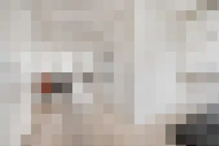 Hogewoerd 100 A Leiden thumbnail 9