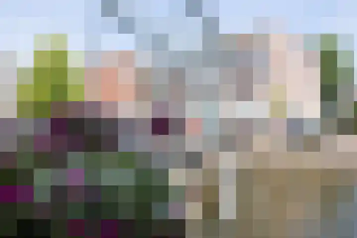 Hogewoerd 103 A Leiden thumbnail 19