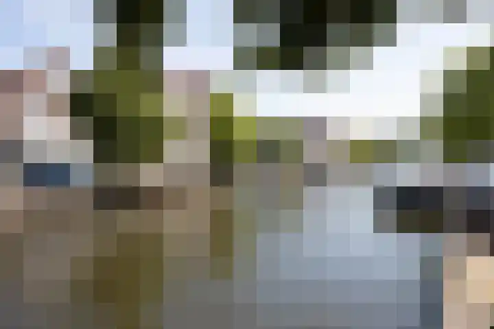 Hogewoerd 103 C Leiden thumbnail 24
