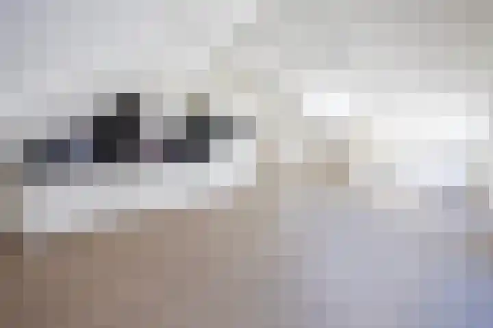 Hogewoerd 103 C Leiden thumbnail 5