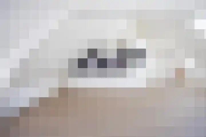 Hogewoerd 103 C Leiden thumbnail 6