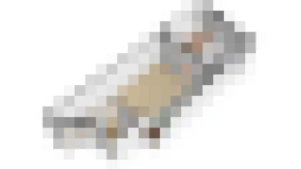 Hogewoerd 116 Leiden thumbnail 29