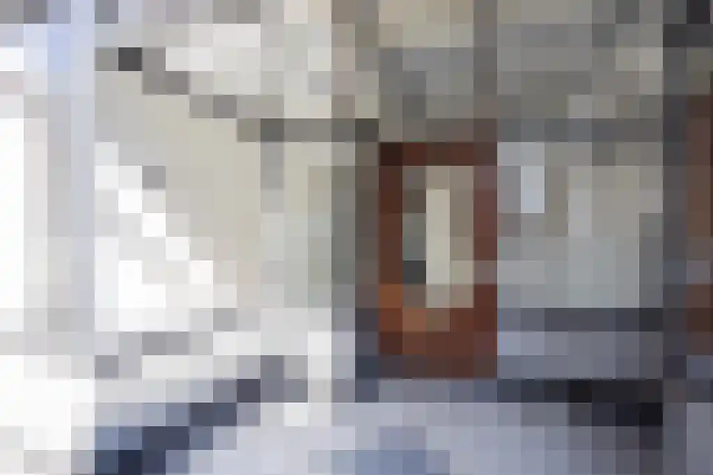 Hogewoerd 116 Leiden thumbnail 5