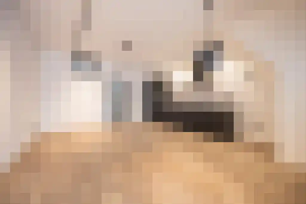 Hogewoerd 116 Leiden thumbnail 6