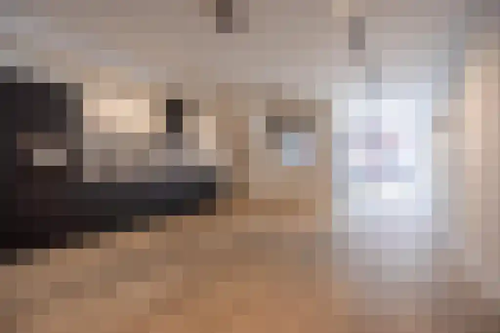Hogewoerd 116 Leiden thumbnail 7