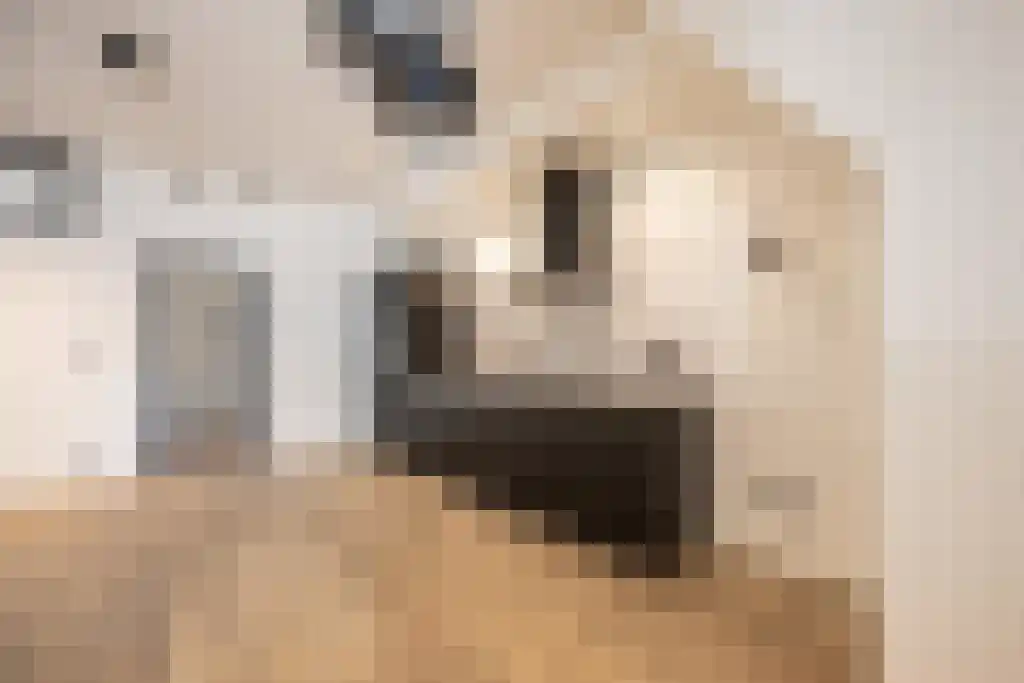 Hogewoerd 116 Leiden thumbnail 8