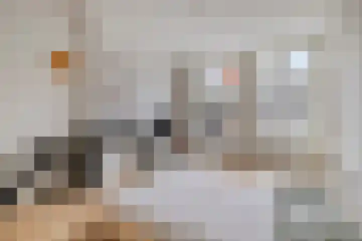 Hogewoerd 118 B Leiden thumbnail 24