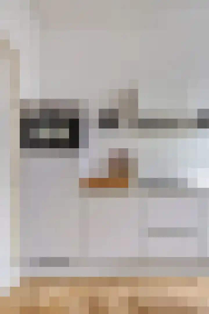 Hogewoerd 118 B Leiden thumbnail 9