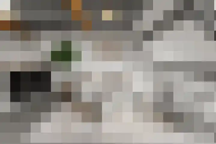 Hogewoerd 123 C Leiden