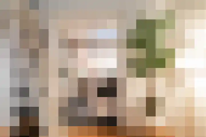 Hogewoerd 130 A Leiden thumbnail 31