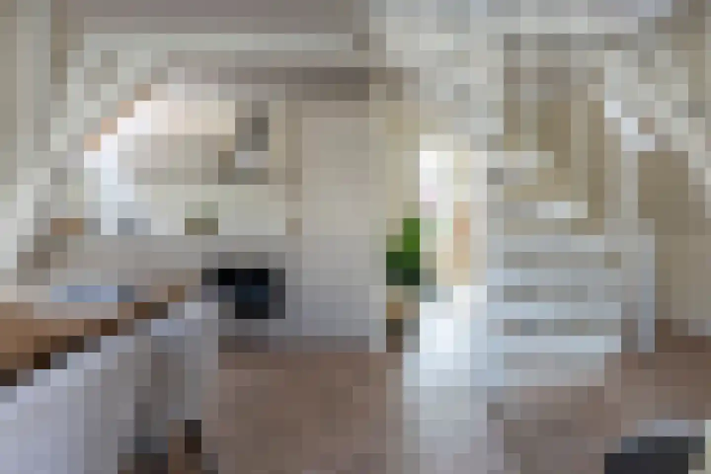 Hogewoerd 131 B Leiden thumbnail 10
