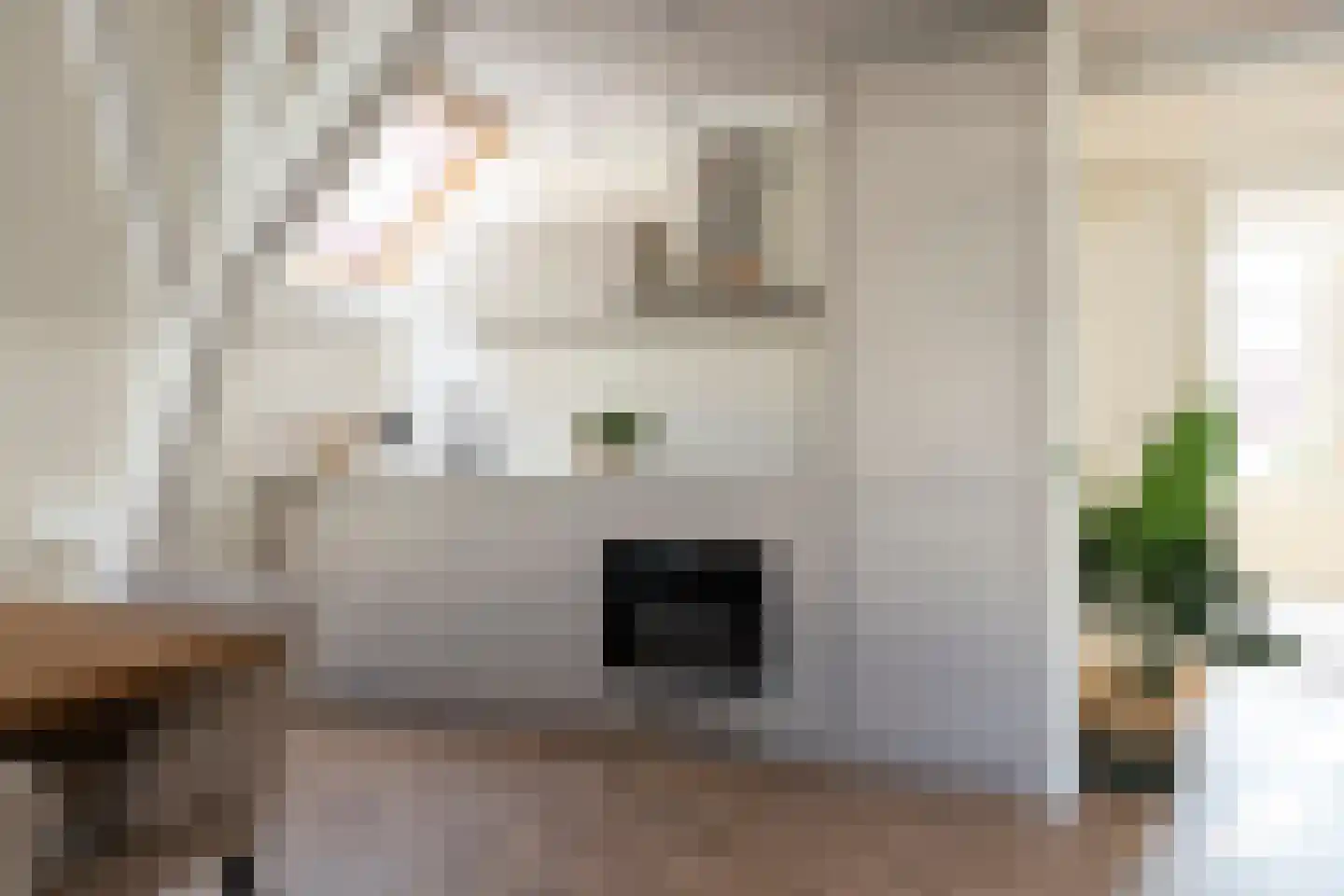 Hogewoerd 131 B Leiden thumbnail 14
