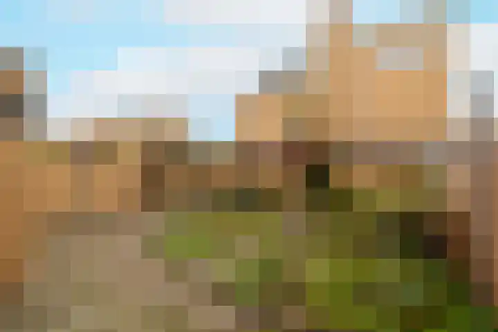 Hogewoerd 131 B Leiden thumbnail 28