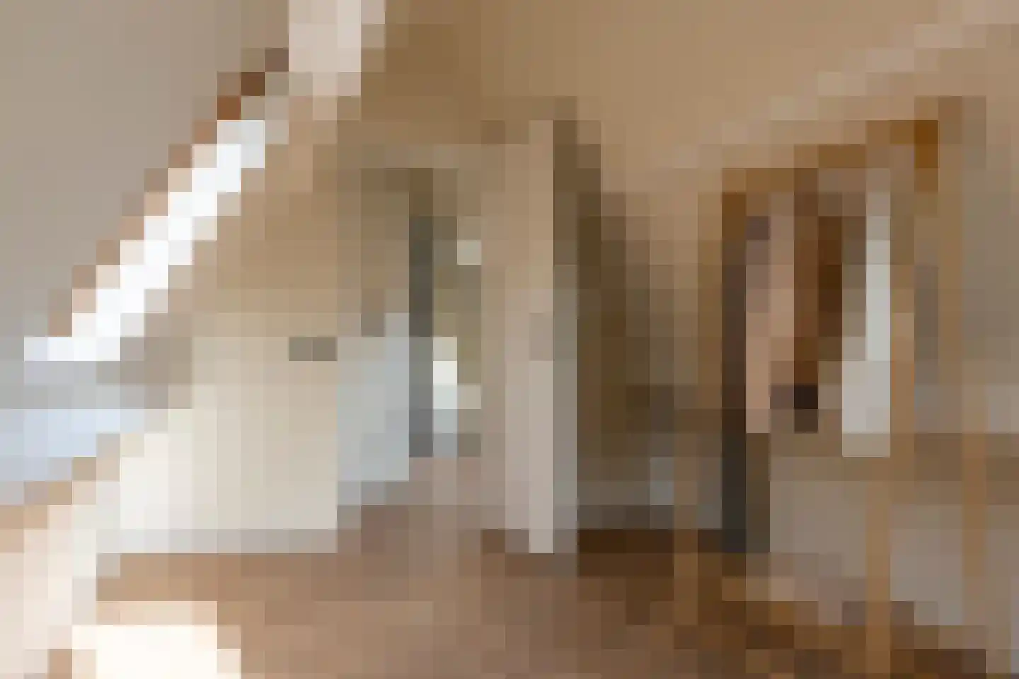Hogewoerd 131 B Leiden thumbnail 30