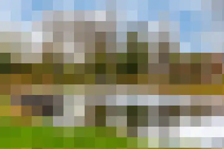 Hogewoerd 131 B Leiden thumbnail 42