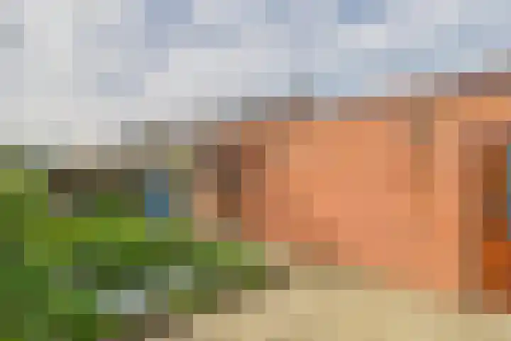 Hogewoerd 131 B Leiden thumbnail 44