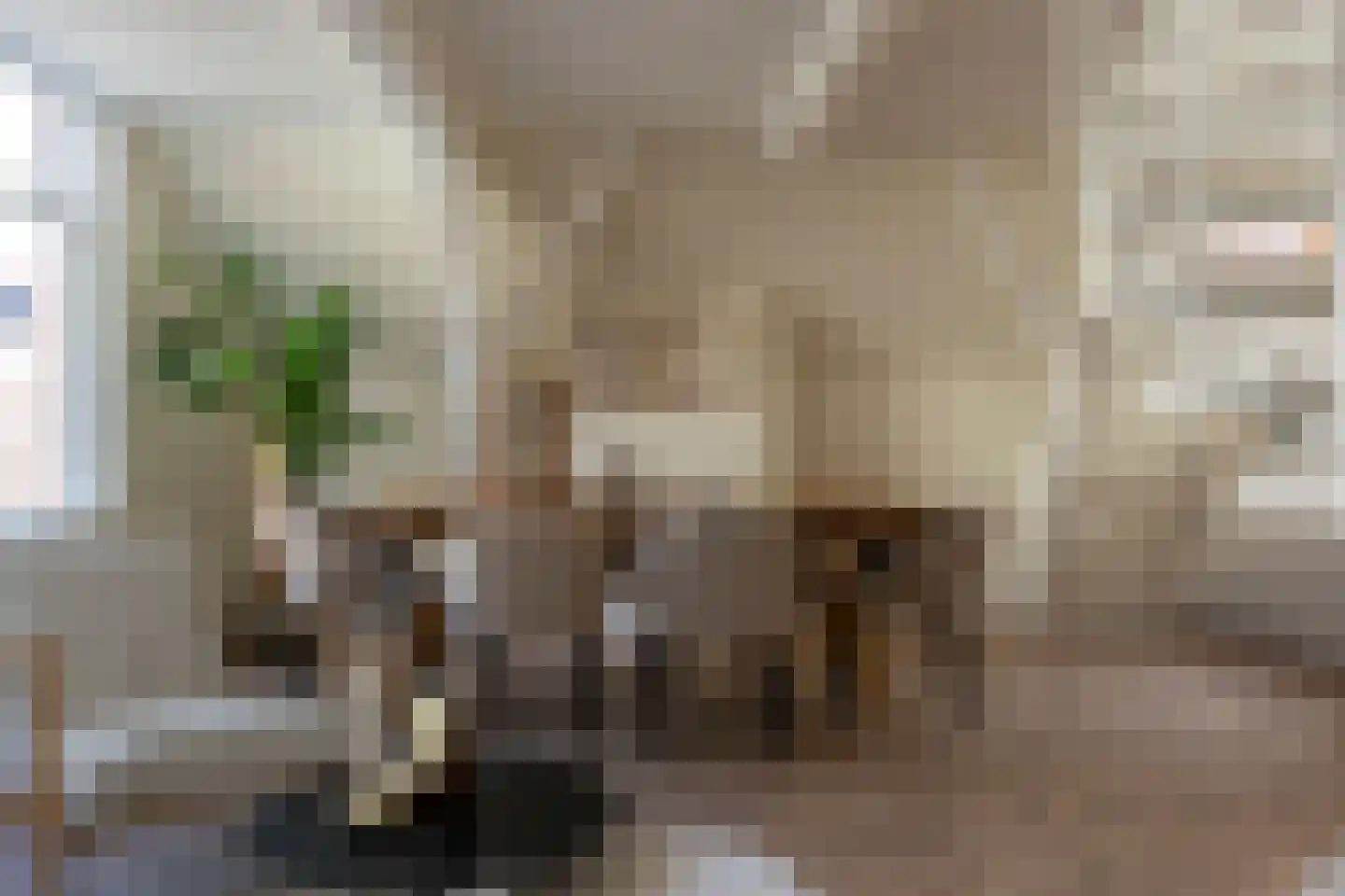 Hogewoerd 131 B Leiden thumbnail 6