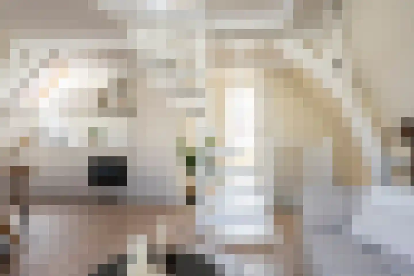 Hogewoerd 131 B Leiden thumbnail 8
