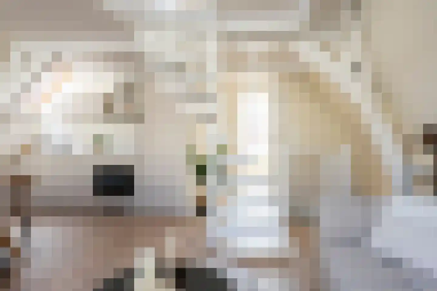 Hogewoerd 131 B Leiden thumbnail 8
