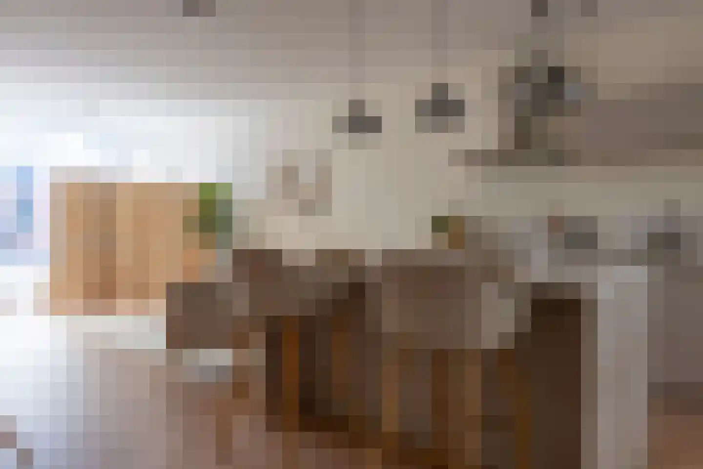 Hogewoerd 131 Leiden thumbnail 12