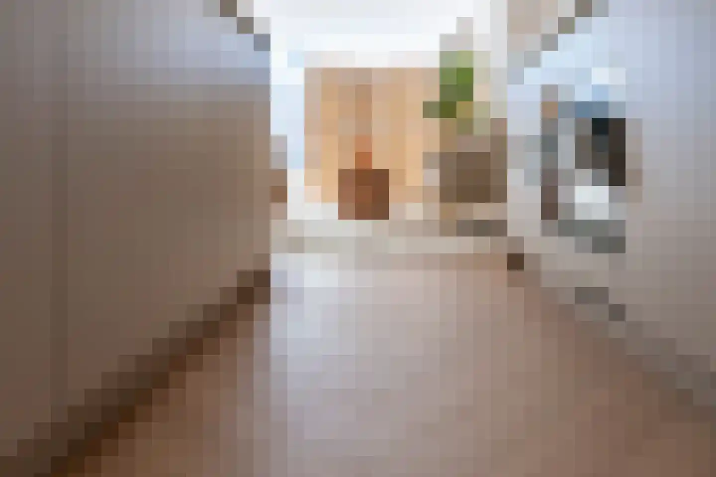 Hogewoerd 131 Leiden thumbnail 18
