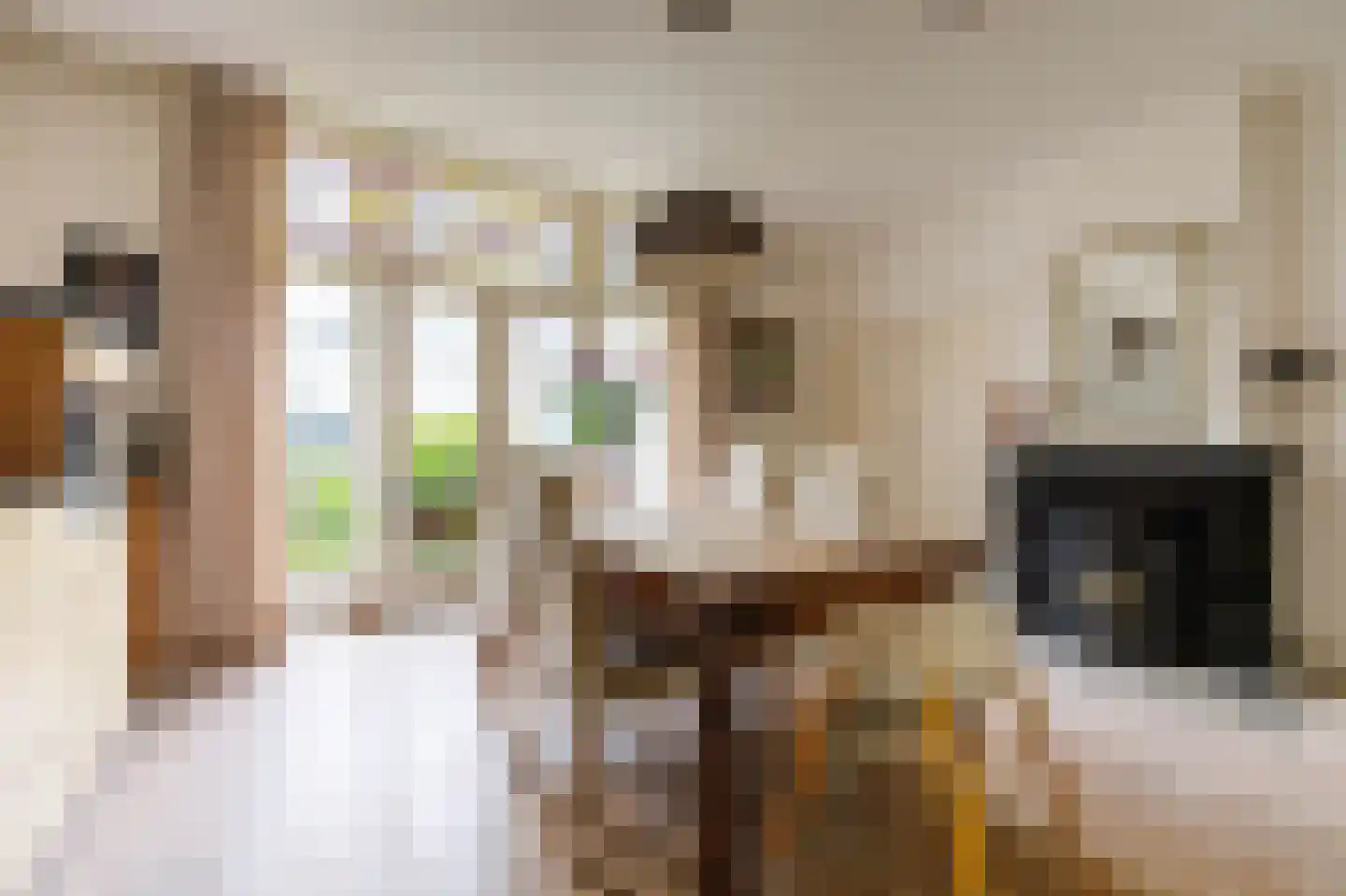 Hogewoerd 148 A Leiden thumbnail 17