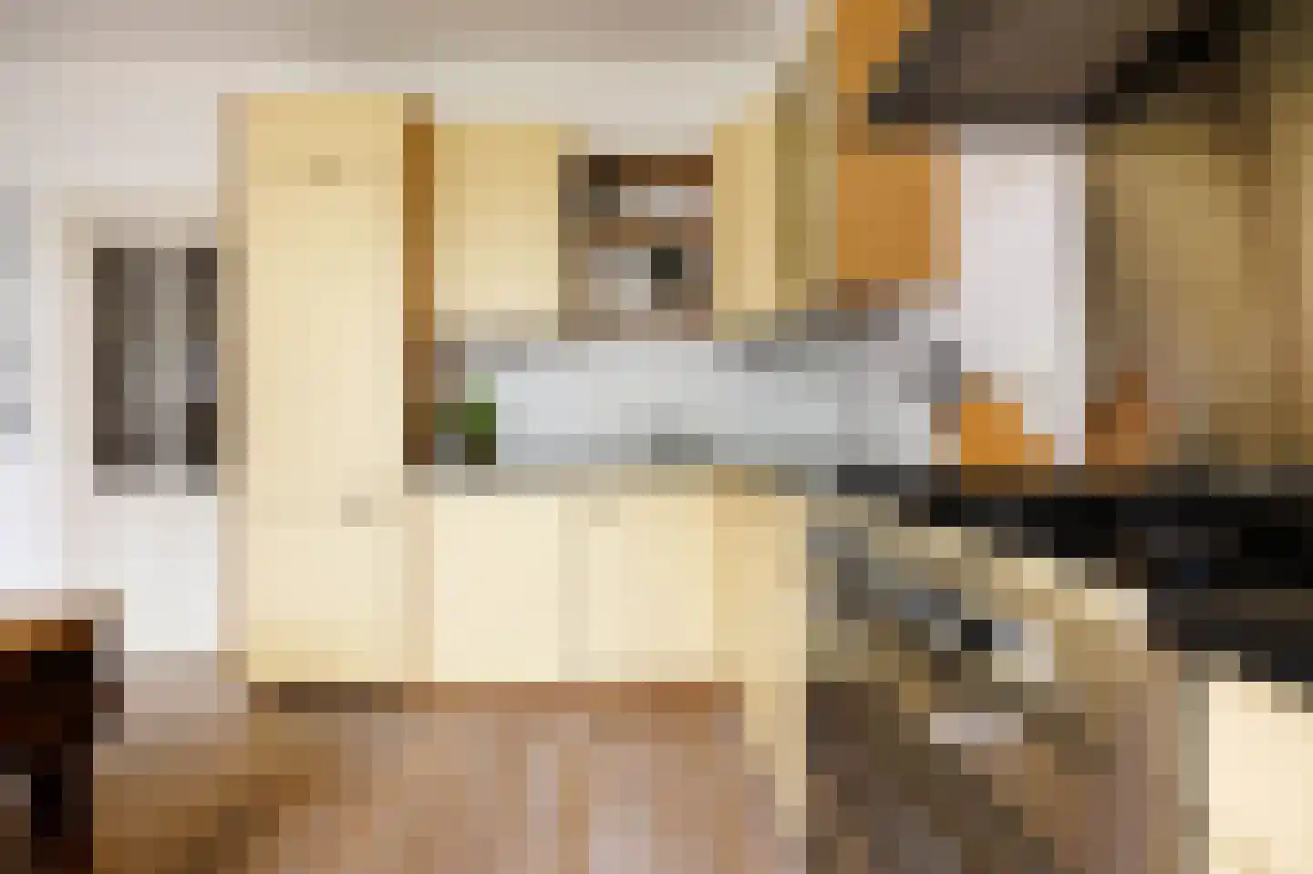 Hogewoerd 148 A Leiden thumbnail 19