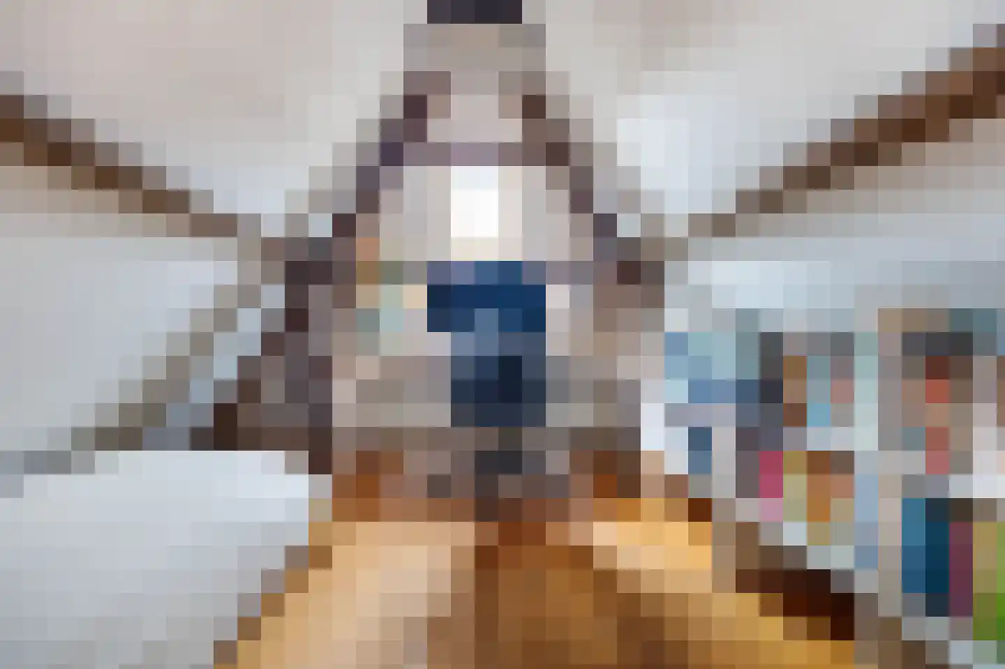 Hogewoerd 148 A Leiden thumbnail 45