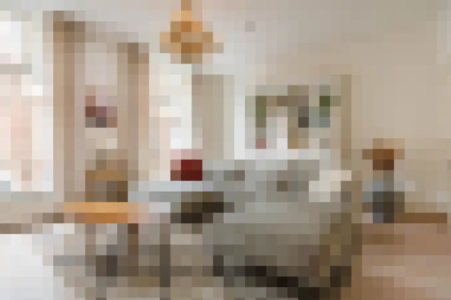 Hogewoerd 148 A Leiden thumbnail 5
