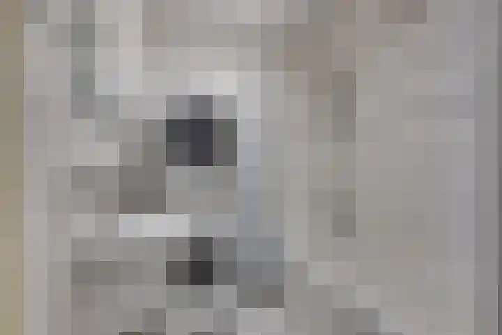 Hogewoerd 161 Leiden thumbnail 18