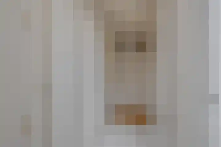 Hogewoerd 161 Leiden thumbnail 7