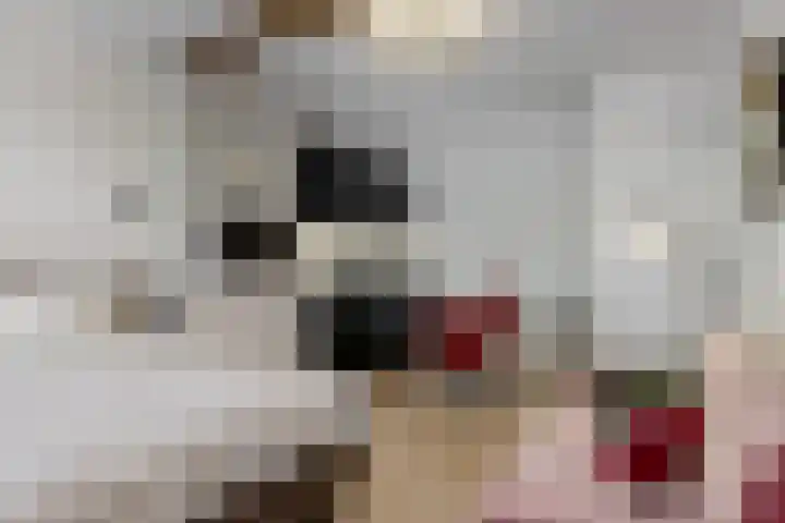 Hogewoerd 46 A 2 Leiden thumbnail 10