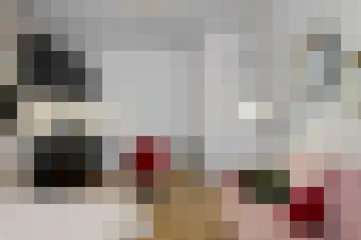 Hogewoerd 46 A 2 Leiden thumbnail 11