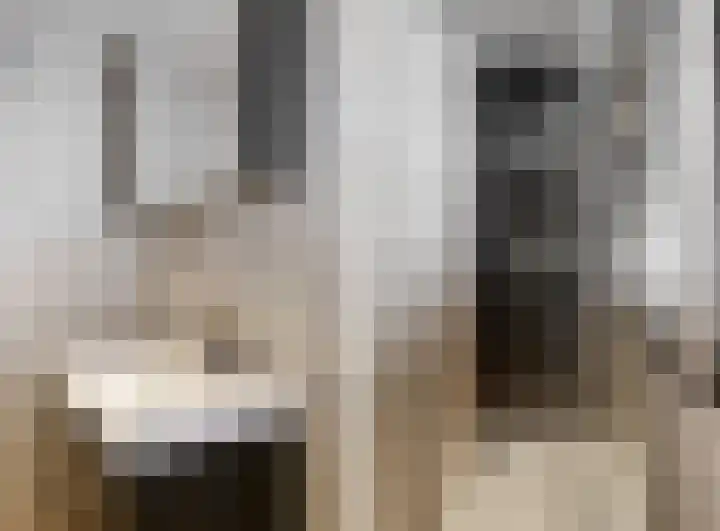 Hogewoerd 46 A 2 Leiden thumbnail 4